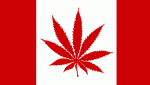 ca_weed